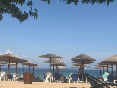 The image depicts a sunny beach scene in Olympiada, Greece. The upper portion of the frame features a clear, pale blue sky, partially bordered at the very top by dark green, lobed leaves from an unseen tree, silhouetted against the bright background. Below the sky, a calm, deep blue-green sea extends to a distant horizon, where faint, hazy landforms are discernible.
The lower two-thirds of the image comprise a light golden-brown sandy beach. Numerous straw-thatched beach umbrellas with wooden support poles are arranged across the sand. Beneath and around these umbrellas are various pieces of beach furniture, including white plastic chairs and blue fabric sun loungers. Several individuals are present, mostly relaxing, seated on the chairs or reposing on the loungers in the shade. Some loungers are draped with colorful towels. In the mid-left foreground, a rustic, slatted wooden bin or planter stands upright on the sand. A section of a dark green, woven outdoor chair or lounger is partially visible in the extreme lower right foreground. The scene is illuminated by bright daylight, indicating clear weather.