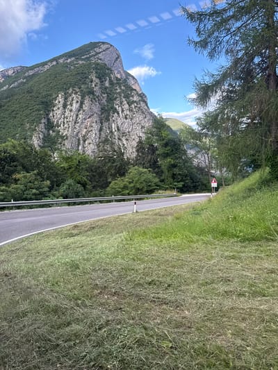 This is a horizontal, eye-level, full-shot photograph of a paved mountain road with a guardrail on the left side, bordered by a grassy slope on the right. The road curves to the right and disappears behind a dense green forest. The background features a large, imposing mountain with a rocky face and a wooded summit, under a bright blue sky with scattered white clouds. A triangular traffic sign with a red border is visible on the right side of the road, indicating a speed limit of 40 km/h and an altitude of 1,409 meters. A tall evergreen tree stands on the right, with its branches extending towards the sky. The image appears to have been taken from a slightly elevated position, looking down at the road and the surrounding landscape. The general environment suggests a rural, mountainous region, likely in Spormaggiore, Italy, given the context. There are no people or animals visible in the frame.
