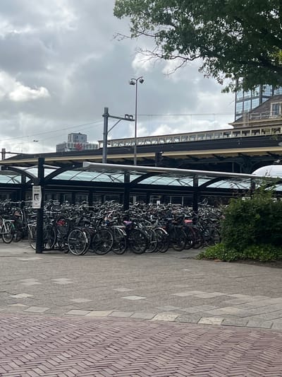 The image shows a large bicycle parking area located next to a train station in Leeuwarden, Netherlands. The scene is dominated by a dense rack of bicycles, suggesting a common mode of transportation in the area. Above the bicycle parking, a train track structure is visible, indicating the proximity to a railway. The weather appears overcast, with a cloudy sky filling the background. The ground is paved with patterned bricks and stones, creating a textured walkway. There is a streetlight visible, hinting at the possibility of the area being used at night. Lush green trees and foliage frame the left side of the image, providing a natural element to the urban setting. The overall impression is one of an active transportation hub, typical of a European city.