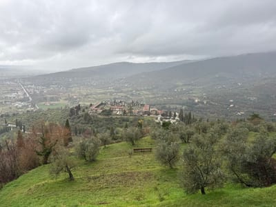 This image presents a panoramic, wide-angle view from an elevated position in Cortona, Italy, looking down into a valley under an overcast, uniformly gray sky.

In the immediate foreground, a verdant green grassy slope is visible, dotted with numerous olive trees with silvery-green foliage. A single, unoccupied wooden bench with two slatted segments is centrally located on this slope.

The mid-ground features the Cimitero Monumentale di Cortona, identifiable by its organized complex of light-colored, terracotta-roofed buildings, terraced sections, and numerous tall, slender dark green cypress trees. A paved road or pathway is visible winding past the cemetery structures.

Beyond the cemetery, the landscape extends into a broad valley containing a mix of agricultural fields, scattered residential and commercial buildings, and a long, straight paved road or highway traversing the valley floor from the mid-left towards the distant center. Further in the background, a range of hills or mountains rises, appearing somewhat hazy and muted in tone due to the atmospheric conditions.

No human figures or active subjects are present in the scene. The environment indicates a cloudy day with potential for rain.