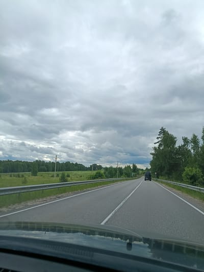 The image depicts a view from inside a vehicle traveling on a paved road in a rural area. The road has two lanes marked by white lines. On the left side of the road, there is a metal guardrail separating the road from a green grassy field bordered by a dense forest in the distance. On the right side of the road, there are trees and a forest. A dark-colored van is visible driving ahead on the same road. The sky is overcast with heavy, gray clouds. Power lines and utility poles are present along the side of the road. The scene appears to be located in or near the village of Gribchikha, Russia.