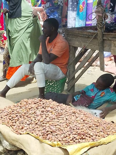 The scene is set in an outdoor market in Fagge D1, Nigeria. In the foreground, a large pile of dried dates rests on a light-colored sack on the ground. To the right of the dates, an adult male with dark skin is seated on a green plastic crate. He wears an orange short-sleeved t-shirt and light-colored, cropped pants, and is barefoot. His right hand is raised, with fingers near his mouth/chin. Adjacent to him, a child lies prone on a dark surface, partially obscured by the dates. The child wears a light blue short-sleeved shirt with red accents, displaying a Manchester United logo, and dark pants. The child holds a white rectangular object, possibly a smartphone, with both hands. A dark red woven bag rests across the child's chest. Behind the seated man, a partially visible adult figure stands, dressed in a light green loose garment over orange patterned pants. In the background, a rustic wooden stall structure is visible, and various brightly colored fabrics hang vertically, suggesting market merchandise. The ground is an uneven, dusty surface.
