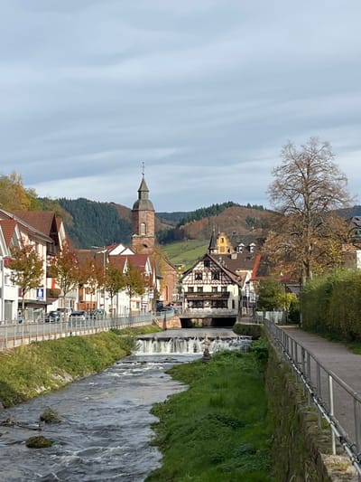 The image displays a riverfront scene in Oppenau, Germany, captured under an overcast sky. A river, likely the Rench, flows from the background towards the foreground, occupying the central and lower portions of the frame. It features sections of small rapids or weirs, particularly prominent in the midground where water cascades over a low barrier. The riverbanks are predominantly covered in green grass and low vegetation.

On the left side of the river, a paved road runs parallel to the waterway. It is lined with multiple multi-story buildings, primarily exhibiting light-colored facades and red-tiled gabled roofs, consistent with residential or commercial structures. Several vehicles are parked along this street. Deciduous trees with reddish-orange autumn foliage are planted between the street and the buildings. Faint human figures are discernible on the sidewalk to the far left.

Further back on the left, a prominent, tall brick church tower with a spire and arched windows rises above the surrounding buildings. To the right of the church, a distinctive half-timbered building, dark-roofed and multi-story, spans directly over the river, resting on stone foundations. Another building with a golden-yellow spire is visible on a hillside behind this half-timbered structure.

On the right side of the river, a dirt or gravel path is visible, bordered by a low stone wall topped with a metal railing. A tall, leafless deciduous tree stands on the right bank in the midground, its branches silhouetted against the sky. The background consists of rolling hills extensively covered with a mix of dark green coniferous forests and deciduous trees displaying autumn colors.
