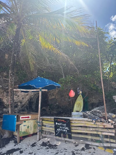 The image captures a static outdoor scene on a sandy beach in Wellhouse, Barbados, under bright daylight conditions with significant sun flare in the upper right. A large palm tree bearing green coconuts dominates the left side, with its fronds extending across the upper portion of the frame. Behind the foreground elements, a rocky slope is covered with dense, dry green foliage and sparse trees.
In the center, a makeshift wooden stall or counter is situated on the sand, which is partially covered with dark seaweed or organic debris. A blue beach umbrella with white scalloped trim is mounted on a wooden pole centrally above this structure. The front panel of the stall features a painted mural depicting fish and starfish on a light background. An empty blue rectangular sign is affixed to the left side of the stall, and a red arrow pointing right is visible above the mural.
To the right of the stall, a low barrier or fence constructed from horizontal wooden poles or bamboo extends across the middle ground. A black chalkboard sign hangs on this barrier, displaying "LOVE HEATWAVE," "POSITIVE MENTAL ATTITUDE," "DIVING," and "FISHING" in white handwritten text. An orange buoy hangs from a wooden support post behind the fence. A yellow recreational kayak or small surfboard is propped vertically on a wooden crate behind the fence, with a smaller light-colored object suspended above it. A stack of cut bamboo or wooden poles lies horizontally on the ground behind the right section of the fence. A tall, slender wooden pole stands upright on the far right of the frame, extending towards the clear blue sky with scattered white clouds. A yellow flotation device with an attached string rests on the sand in front of the fence on the right. No individuals are present in the scene.