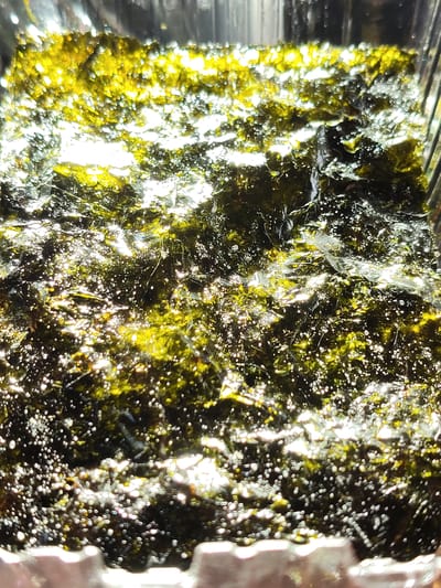 The image shows a close-up of what appears to be seasoned seaweed, likely nori, in a transparent container. The seaweed is dark green with flecks of golden seasoning and is glistening with oil, suggesting it has been prepared. Small bubbles are visible on the surface of the oil, and the lighting creates highlights and shadows across the textured seaweed. The container appears to be made of clear plastic with ridged edges visible at the bottom. There is no indication of the city of Венюково, Russia, or any people, actions, or interactions in this image.