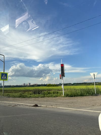 The image shows a view of a road and a field under a blue sky with white clouds. On the left side of the road, a pedestrian crossing sign is visible. Further down the road, a traffic light with a red signal is present. In the background, there are buildings and a green field. The scene appears to be in a rural or suburban area. The location is identified as Elitnyi, Russia.