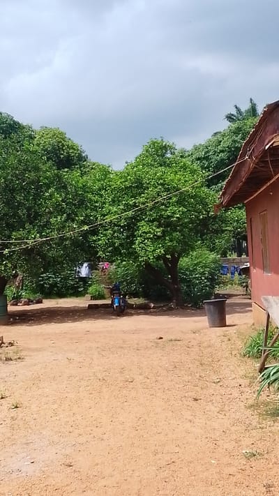 In Donga, Nigeria, a sunlit outdoor scene unfolds. A dirt road leads into a clearing shaded by lush green trees. On the left, laundry hangs on a clothesline strung between trees, with a blue motorcycle parked nearby. To the right, a portion of a red-brown building with a visible window suggests a dwelling or structure. A black garbage bin stands near the building. The sky above is partly cloudy, with a mix of white and gray.