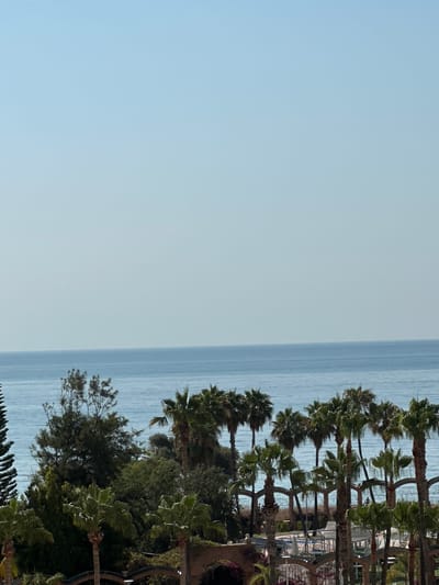 The image depicts a sunny day at the beach in Les Amplaries, Spain, with a clear blue sky dominating the upper portion of the frame. The turquoise sea stretches to the horizon, meeting the sky in a seamless line. In the foreground, a row of palm trees with lush green fronds sways gently in the breeze, their trunks casting long shadows on the ground. Behind the palm trees, there are glimpses of a resort or hotel complex with white structures and arches, suggesting a vacation destination. The overall scene conveys a sense of tranquility and relaxation, characteristic of a coastal getaway.