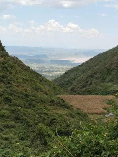 The image presents an elevated, panoramic view of a valley and distant landscape within Subukia ward, Kenya, under a partly cloudy sky. The foreground is dominated by two steep, green hillsides covered in dense scrub and foliage, framing a central downward slope. In the midground, between these hillsides, a rectangular field of dry, light-brown crops, likely maize, is visible. A narrow, winding dirt path or dry riverbed is discernable on the right side of this field, leading towards the valley floor. A small, light-colored structure is faintly visible at the far end of the cultivated field, nestled against the left hillside. Beyond the immediate valley, a broader expanse of green, undulating terrain with scattered settlements and agricultural patches extends. In the distant background, a large, reddish-brown body of water, possibly a lake or reservoir, is prominently featured, bordered by hazy blue-grey mountain ranges or escarpments on the horizon. The sky is light blue with scattered white cumulus clouds. No individuals, animals, or active interactions are present.