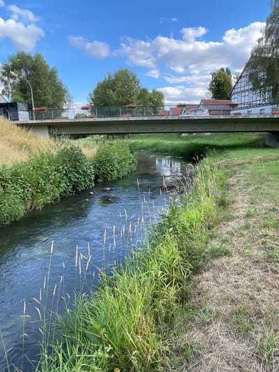 The image depicts a bridge crossing over a small, dark-water stream in Röllshausen, Germany. The bridge, constructed of concrete, has a metal railing with planters containing red flowers. A street light is visible on the left side of the bridge. The stream banks are lined with lush green grass and reeds. On the right bank, dry, yellowish grass is present. In the background, several trees and buildings with white walls and dark wooden beams are visible. The sky is blue with scattered white clouds. No people are present in the image.