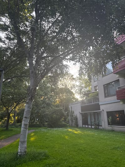 This image depicts a green courtyard area adjacent to a modern apartment building, situated in Amstelveen, Netherlands. The scene is bathed in the soft, golden light of late afternoon or early evening, with the sun filtering through the leaves of a large, mature tree in the foreground. The tree, likely a birch due to its pale, textured bark, dominates the left side of the frame, its branches extending upwards and obscuring some of the sky.
The apartment building is a multi-story structure with a light-colored brick facade. It features several windows, some with blinds, and balconies with glass railings and dark-colored trim. A balcony on the middle level has a potted plant and an umbrella. The building's exterior is accented with sections of red paneling.
The courtyard itself is covered in a well-maintained green lawn, dotted with small white flowers, possibly daisies. A paved pathway, appearing to be made of gravel or small stones, curves through the lawn from the lower left towards the center of the image. In the background, more trees and foliage create a lush, verdant backdrop, suggesting the building is located in a suburban or park-like setting within Amstelveen. There are no people visible in the image, and the scene conveys a sense of tranquility and natural beauty within an urban environment.