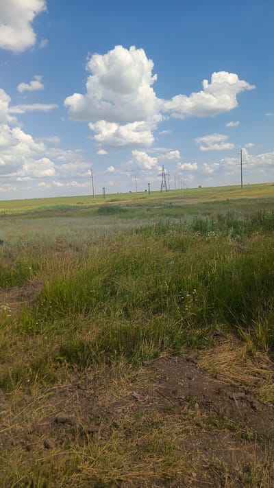 This is a photograph of a rural landscape under a blue sky with scattered white clouds. The foreground consists of dry grass and some dirt. In the midground, a field of green grass stretches towards a distant line of trees and power lines. Several electrical transmission towers are visible in a row, extending across the horizon. The scene appears to be located in or near Malaya Rybka, Russia, given the characteristic flat terrain and vegetation often found in such regions. There are no people or animals visible in the image.