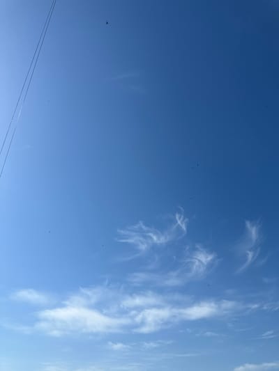 A bright blue sky is visible in the image, with thin, wispy clouds scattered across it. A power line runs diagonally from the top left corner down the left side of the frame. In the upper portion of the sky, a bird is seen in flight, with a few smaller dark specks possibly representing other birds or insects. The lower portion of the sky features more concentrated, delicate clouds. The scene appears to be an outdoor, daytime view in Peremyshliany, Ukraine.