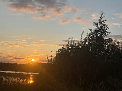 A tranquil sunset over a body of water is depicted, with a dense line of trees forming a dark silhouette along the distant horizon. The sky is a soft gradient of blues and oranges, with scattered clouds catching the last rays of the sun. The sun itself, a bright orb, is low in the sky, casting a warm glow and reflecting on the water. In the foreground, tall grasses and foliage are silhouetted against the illuminated scene, adding depth and texture. The overall impression is one of natural beauty and serenity.