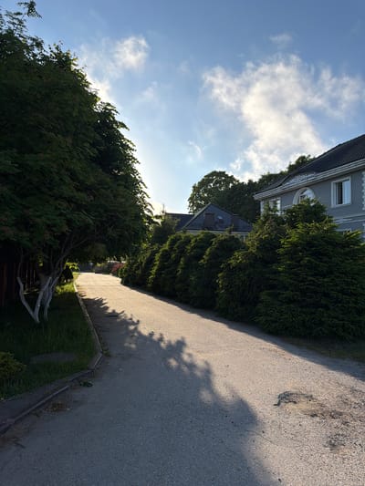 The image depicts a paved pathway in Svetlogorsk, Russia, flanked by lush greenery and residential structures. On the left, a mature tree with white-painted lower trunk stands beside a grassy area and a drainage ditch. The pathway curves gently into the distance, casting long shadows from the trees on its right. These trees form a dense, manicured hedge, beyond which a light gray two-story house with a dark tiled roof is visible. The house features white trim around windows and an arched decorative element above a round window on the upper floor. To the left of this house, another roofline with dark tiles can be seen. The sky above is a clear blue with scattered white clouds, illuminated by soft sunlight, suggesting it is either early morning or late afternoon. The overall impression is one of a well-maintained suburban or private residential area.