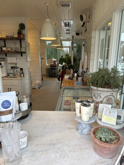 Inside a bright, sunlit shop, a variety of plants decorate the counter, including succulents in terracotta pots and a large herb plant in a distressed container. Coffee cups are stacked on a marble stand, and bags of granola and stirrers are neatly arranged. Through the windows, greenery is visible, suggesting a lush outdoor setting. The interior features white paneling, modern lighting, and a display case filled with colorful ice cream or gelato.