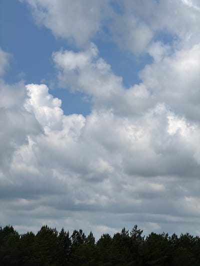 A vertical, full-frame, eye-level shot captures a dense, dark green evergreen forest silhouetted against a dramatic sky of white and gray clouds. The forest forms a sharp, jagged line across the bottom 20% of the frame, with individual tree tops clearly defined. Above the forest, the sky occupies the remaining 80% of the image. The clouds are varied in density and texture; some are bright white and puffy, suggesting sunlight, while others are darker gray and more diffused, indicating overcast conditions. Patches of bright blue sky are visible through the cloud cover, especially in the upper left quadrant. There are no people or animals visible in the image. The scene is devoid of any man-made structures, indicating a natural, undeveloped environment. The overall impression is one of a vast, natural landscape under a dynamic sky. The location is identified as Tsiolkovsky, Russia, implying a potentially remote, forested area.