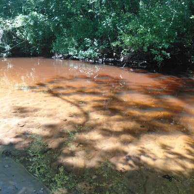 This is a top-down, vertical shot of a shallow, muddy creek with clear water and a sandy bottom. The left side of the frame features dense green foliage, suggesting a wooded or overgrown area. Sunlight filters through the leaves, casting dappled shadows on the water's surface and the creek bed. The water itself is a warm, earthy brown, reflecting the surrounding vegetation and the sunlight.
The sandy bottom is visible through the clear sections of water, showing undulations and textures. Small patches of green aquatic plants are scattered along the edges and within the creek bed, adding pops of color against the sand and mud. The overall scene evokes a sense of a natural, undisturbed outdoor environment, likely a quiet creek in a rural or forested setting. The play of light and shadow suggests it is daytime, possibly late morning or early afternoon when the sun is high enough to create distinct patterns. There is no visible text in the image.