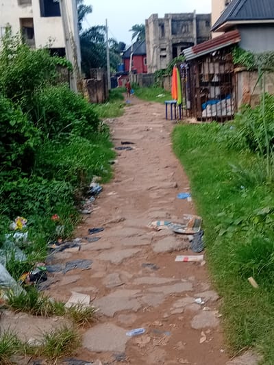 The image depicts a dirt path in Ifite-Awka, Nigeria, flanked by overgrown green vegetation on the left and a grassy area on the right. The path is uneven and appears to be constructed from compacted earth and stones, with scattered debris and litter along its edges and on its surface. On the left side of the path, there is dense green foliage, and further back, a partially visible building with a white facade. On the right side, there is a small, makeshift stall with a corrugated metal roof, its front covered by a metal grate. Several colorful fabrics, possibly garments, are hanging from a stand in front of the stall. In the background, there are more buildings, some appearing partially constructed or in disrepair, and utility poles with wires. The sky is overcast. In the mid-ground, two individuals are walking away from the camera down the path, one carrying a blue bag. The overall scene suggests a somewhat neglected urban or semi-urban environment.