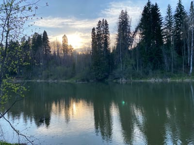 The image depicts a tranquil lake scene in the city of Баклуши, Russia, at either sunrise or sunset. The water reflects the surrounding forest, which consists of coniferous trees and some deciduous trees with newly sprouting leaves. The sky shows a gradient of light, suggesting the sun is either rising or setting behind the treeline, with diffused sunlight creating a soft glow. The water's surface is rippled, reflecting both the light and the silhouettes of the trees, with a single, small, greenish light reflection visible in the water. A bare tree branch with budding leaves is visible in the lower left corner of the frame, contributing to the foreground detail. The overall scene evokes a sense of calm and natural beauty.