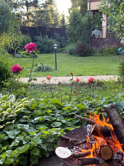 This is a vertical, slightly off-kilter shot of a backyard scene in Zimyonki, Russia, likely during a warm evening. In the foreground, a fire burns merrily in a metal fire pit. Logs crackle and blaze with vibrant orange flames, casting a warm glow on the surrounding greenery. A small, circular white sign with the letters "U.F." is visible near the fire pit.

To the left of the fire, lush green plants, including hostas with variegated leaves, grow abundantly. Interspersed among the foliage are several roses in various stages of bloom. A large, deep pink rose is prominent in the lower left, with smaller pink and red roses scattered higher up the stem.

Behind the garden, a pathway made of light-colored bricks leads into the distance. Beyond the pathway, a neatly mown green lawn stretches out, with a few trees and bushes creating a natural backdrop. In the far left background, a brick building with brown trim can be seen, partially obscured by trees. A tall lamp post stands near the lawn.

The light suggests it's either early morning or late evening, with the sun's rays casting long shadows and illuminating the scene with a soft, golden hue. The overall atmosphere is peaceful and idyllic, evoking a sense of quiet enjoyment of a summer evening outdoors. No people are visible in the image.