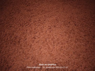 The image displays a close-up, overhead view of a brown, shaggy carpet. The texture of the carpet is characterized by its long, intertwined fibers, creating a dense and somewhat uneven surface. The lighting appears to be coming from the left and slightly above, casting subtle shadows that highlight the carpet's texture. There are no discernible objects, people, or actions within the frame of the carpet itself.
In the bottom right corner of the image, text is overlaid. The text reads "Shot on OnePlus" in a larger, white font, and below that, in a smaller white font, it states "Pikku kakkonen | 16. kesäkuuta 2026 klo 21.31". This indicates the photograph was taken with a OnePlus device, and the text is likely a timestamp and a caption or identifier.
The reference to "Pikku kakkonen" and the date are Finnish. "Pikku Kakkonen" is a popular children's television programming block in Finland, often aired on Yle. The date, "16. kesäkuuta 2026 klo 21.31", translates to "June 16, 2026 at 9:31 PM". While the image itself does not provide any visual cues about its location within the city of Tampere, Finland, the overlaid text suggests a connection to Finnish culture and a specific time.
