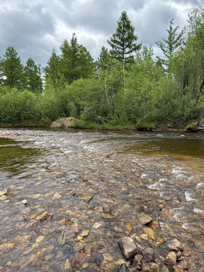 The image depicts a natural scene featuring a shallow river flowing over a rocky bed. Lush green trees and bushes line the riverbanks, with a cloudy sky overhead. The water is clear enough to see the submerged stones, which vary in size and color. The overall environment suggests a wilderness or rural setting. There are no people or man-made structures visible in the image.