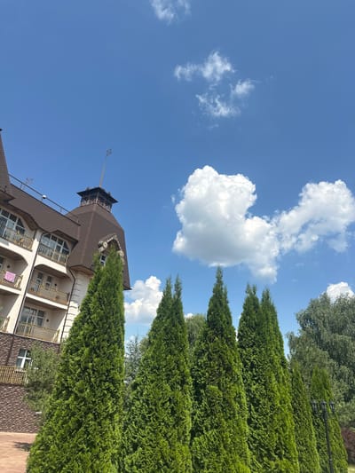 This is a low-angle, full-shot, exterior, daytime photograph of a building with trees in the foreground. The building is multi-story with a dark brown, multi-faceted roof and balconies with ornate metal railings. It has many windows with white frames. A pointed tower with decorative metalwork and a weather vane rises from the roof. The building is partially obscured by tall, dense evergreen trees that line the right side of the frame. In the upper left of the image, a large, heart-shaped cloud is visible against a clear blue sky. The location is Dal'nie Prudishchi, Russia. The weather appears to be sunny and pleasant, with a few scattered clouds. No people are visible.