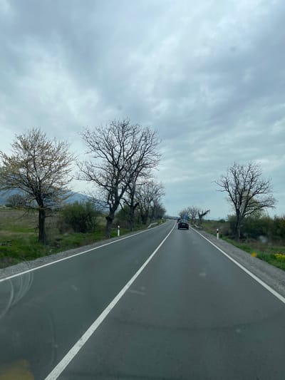 The image shows a gray asphalt road in Pevtsite, Bulgaria, with a double yellow line marking the center. A dark car is driving away from the camera. Bare trees line the roadside on both sides. The sky is overcast and gray. The surroundings appear rural, with fields visible on the left side.