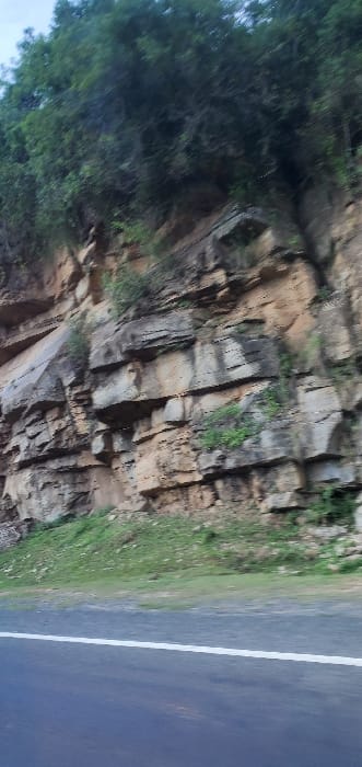 A roadside view reveals a cliff face, composed of layered rock strata in shades of brown and gray, with pockets of green vegetation clinging to its surface. Adjacent to the cliff, a paved road with a white lane marker stretches into the distance. Trees and foliage fill the left side of the image, providing a natural contrast to the man-made road and the geological formations of the cliff.