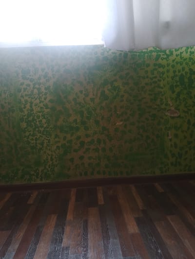 The image shows an interior scene, possibly a room in a building located in Vahdat, Tajikistan. The dominant features are a green textured wall with patches of lighter color and a dark wood-patterned floor. The wall appears to be wallpapered, and there are areas where the wallpaper is peeling, particularly on the right side of the image. The pattern on the wall is somewhat irregular, resembling splotches or a distressed finish. A bright light source, likely a window, is visible at the top of the image, partially obscured by a white curtain or drape. The floor is composed of long, rectangular planks with a dark brown finish and varying wood grain patterns, laid in a diagonal pattern. The baseboard along the bottom of the wall is dark brown, matching the floor. No people or specific objects are clearly identifiable within the scene, other than the architectural elements and wall covering.