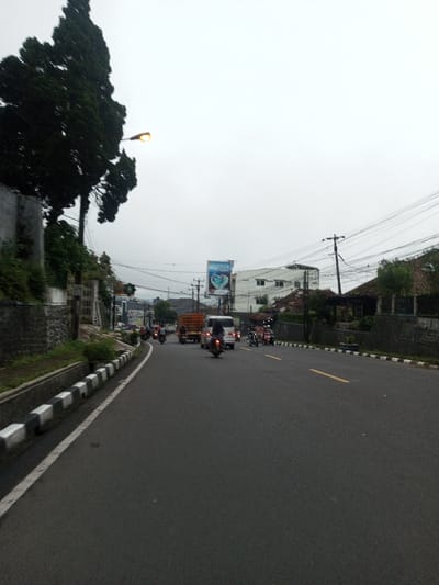 This image depicts a street scene in Chagzam_Pam, Bhutan, under an overcast sky. The view is looking down a paved asphalt road that curves slightly to the left. The road features a solid white line on the left edge, bordering a black-and-white striped curb. Another black-and-white striped curb is visible on the right side of the road, and two yellow dashed lines mark the center of the roadway further down.
Multiple vehicles are present, primarily motorcycles, with several visible in motion. One motorcycle in the foreground appears to be moving towards the viewer, ridden by an individual in dark clothing. Further down the road, an orange flatbed truck and a white van are visible amidst other motorcycles and vehicles.
On the left, beyond the curb, an elevated vegetated embankment is supported by a stone wall, with a large, dark green coniferous tree rising prominently on the far left. A streetlight with a yellowish illumination is positioned near the tree. On the right side, beyond the curb and stone wall, there are residential or commercial buildings. In the background, a large billboard with a blue background and a heart-shaped graphic is visible, displaying partially obscured text that may read "ROSS." Behind the billboard, a multi-story white building with numerous windows can be seen. Utility poles with dense networks of overhead power lines crisscross the upper portion of the frame, spanning across the street and connecting to structures.
