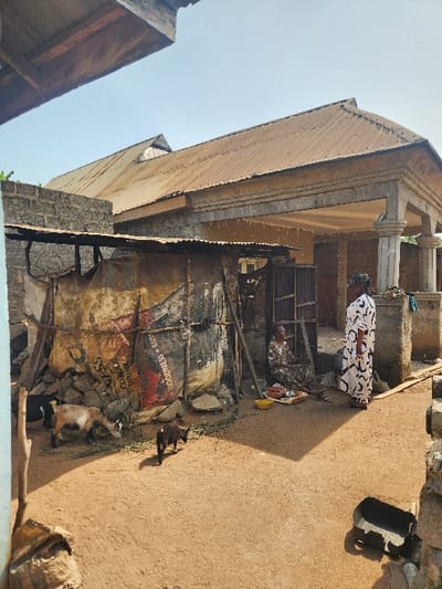 This outdoor image captures a slice of daily life in Umuoye, Nigeria, under bright daylight. The scene is dominated by a multi-story building, possibly unfinished or in a state of construction, featuring a corrugated metal roof and exposed concrete pillars.
On an elevated section or porch of the building, a person stands, wearing a distinctive white and black patterned garment. The ground surrounding the building is unpaved, consisting of reddish-brown earth. In the foreground, near the base of the weathered building wall, two goats are visible; one is lying down, and the other stands upright.
Against the lower part of the building, a makeshift structure made of wood and what appears to be discarded materials or corrugated sheets is present. Next to this structure, large barrels or containers are stacked, with visible text including "GOODNESS," "DRINK," and "COMOO." The wall itself displays signs of wear, with some discolored patches and faded markings. To the right of the scene, a dark bucket or container rests on the ground.
The weather appears clear and sunny, indicated by the strong shadows cast on the unpaved ground. The overall setting suggests a rustic or semi-urban environment, consistent with the provided location context of Umuoye. No specific event is unfolding, rather it's a candid snapshot of a typical day.