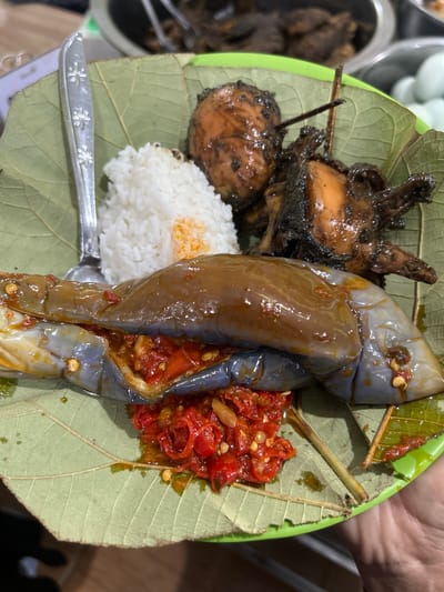 A close-up, overhead shot shows a meal served on a large green leaf placed on a green plate. The leaf, with its prominent veins, serves as a natural platter. In the foreground, a whole, cooked eggplant, likely grilled or fried, is presented split open and generously topped with a vibrant red chili and garlic sambal. The eggplant's skin is a deep purple-blue, and its flesh is a glossy brown, coated in a sauce.
To the left of the eggplant, a mound of fluffy white rice is visible, with a hint of orange spice mixed in. Partially submerged in the rice is the handle and bowl of a spoon. To the upper right of the rice, two pieces of dark, glazed chicken or meat are skewered together with a thin wooden stick. They appear to be cooked in a dark, savory sauce. In the background, out of focus, are glimpses of more food containers, one possibly holding more dark meat and another with white, oval-shaped items, possibly boiled eggs. The scene appears to be set in an outdoor or informal dining setting. The image is likely taken in Cirebon, Indonesia, a city known for its diverse culinary traditions.