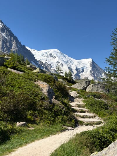 This image depicts a scenic mountain landscape with a clear blue sky. In the background, a snow-capped mountain range dominates the horizon, with a glacier visible on its slopes. A small building is situated on the mountain in the distance. In the foreground, a dirt path winds its way up a grassy slope dotted with rocks and shrubs. A few trees are scattered throughout the scene. The location is likely Chamonix-Mont-Blanc, France, a town renowned for its proximity to Mont Blanc and its stunning alpine scenery. There are no people visible in the image.