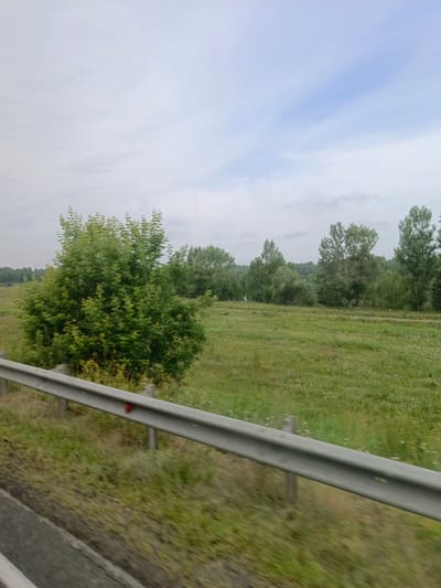 The image depicts a roadside view in Akulovo, Russia. A metal guardrail runs along the bottom left of the frame, blurring into the foreground as if captured from a moving vehicle. Beyond the guardrail, a field of green grass with scattered small white flowers stretches towards a line of trees in the background. A large, dense green bush is prominent in the mid-left of the scene, positioned in front of the tree line. The sky above is overcast with patches of blue visible. No people or animals are present in the image.
