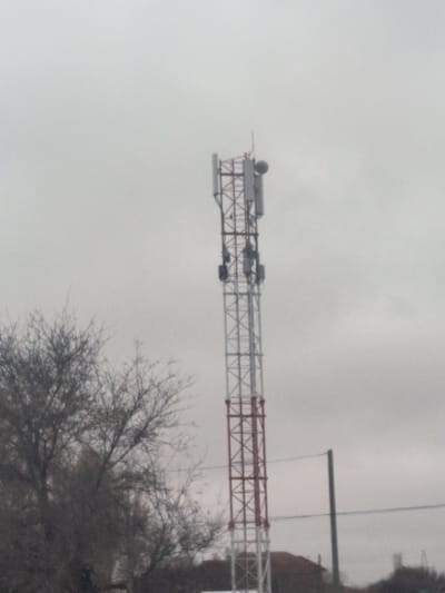 An image captured in Kungrad, Uzbekistan, depicts a tall, lattice-structured telecommunications tower ascending into an overcast, light grey sky. The tower's metal framework is painted in alternating sections of red-brown and silver-white. Near the top, multiple rectangular cellular antenna panels and at least one circular dish antenna are mounted. A smaller, spiky antenna or lightning rod crowns the very top. To the left, a large, leafless deciduous tree with dark, intricate branches extends into the mid-frame, partially obscuring the lower half of the tower. In the background, below the horizon line, faint outlines of buildings with reddish-brown roofs are discernible. A dark vertical utility pole with horizontal wires extends across the right side of the mid-ground. No individuals or specific actions are visible within the scene.