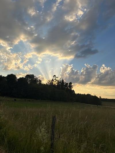 This image captures a serene rural landscape at dusk in Beltershain, Germany. The foreground is dominated by a field of tall, dry grass, with a weathered wooden fence post and wires visible, suggesting agricultural land. In the midground, a dense line of dark green trees forms a silhouette against the sky, hinting at a forest or woodland edge. The background features a sweeping, gently sloping hill, also covered in vegetation.
The sky is the most striking element. Dramatic crepuscular rays, illuminated by the setting sun, emanate from behind a cluster of trees and clouds. These rays pierce through a sky filled with a mix of dark grey and bright white clouds, creating a dynamic contrast with the clear blue sky peeking through. The light casts a warm, golden hue across the horizon, indicating the sun is low in the sky, likely near sunset. There are no people or visible animals in the frame. The scene evokes a sense of natural beauty and tranquility.