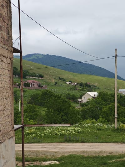 The image shows a rural landscape in the city of Gugark, Armenia. A dirt road runs across the foreground, bordered by green grass and a field of white wildflowers. In the mid-ground, several houses are scattered among lush green trees and rolling hills. A large, brown-roofed house with arched windows is prominently featured on the left side of the mid-ground, surrounded by a fence. A lighter-colored house with a white roof is visible to the right of the larger house, nestled among trees. In the background, a vast, tree-covered mountain rises under a cloudy sky. Utility poles and power lines are visible throughout the scene. The overall impression is one of a peaceful, agrarian community set against a backdrop of natural beauty.