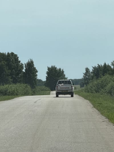 A white Toyota pickup truck is traveling away from the viewer on a grey asphalt road. The road is lined with green trees and vegetation on both sides. The sky above is a light blue. The location is near Дүңгілағаш, Kazakhstan.
