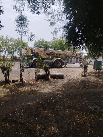 The image shows a large construction crane parked on a dirt lot in Ashaka, Nigeria (10.929, 11.475). The crane is facing away from the viewer, with its boom extended to the left. There are trees and bushes in the foreground, along with scattered leaves. The lot is mostly empty, with a few unidentified objects visible in the distance. The sky is overcast. The crane appears to be idle.
