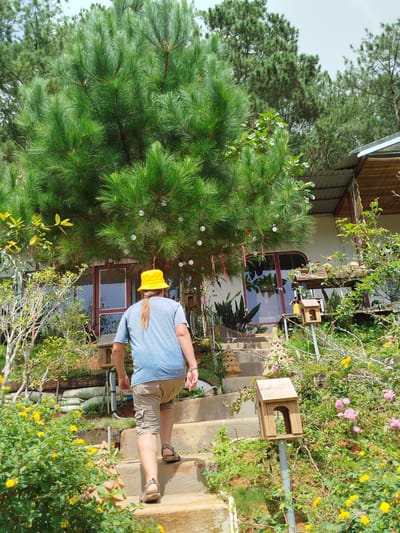 The image depicts a person walking up a concrete staircase in a garden setting. The person, viewed from behind, is wearing a blue t-shirt, khaki shorts, a yellow bucket hat, and sandals. They have long hair tied back and are walking towards a building partially visible in the background. The garden is lush with greenery, including a large pine tree, flowering bushes with pink and yellow blooms, and various other plants. There are decorative elements such as a birdhouse on a pole and a ceramic tree sculpture on the stairs. The building appears to be a single-story structure with large windows and a corrugated metal roof. The scene suggests a tranquil outdoor environment, possibly a residence or a tourist spot. The location is identified as Trường An, Vietnam.