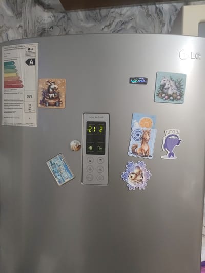 This is a medium shot of a silver LG refrigerator with several magnets on its door. The refrigerator is in a home kitchen. The time of day is not discernible. There are various magnets on the refrigerator door, including a "LOONA" logo, a festive magnet with two white horses and ornaments, a magnet with a cartoon horse and the text "С УЛЫБКОЙ по ЖИЗНИ" (With a smile through life) and "2020", a magnet with a purple whale-like creature and the text "ШТОШ", a magnet with two horses on a snowflake background, a magnet with a cartoon animal character, and a rectangular magnet with a city landscape and the text "г. Чита" (Chita). There is also an energy efficiency label for the refrigerator on the left side of the door. The refrigerator's digital display shows "-21" for the freezer and "2" for the fridge.