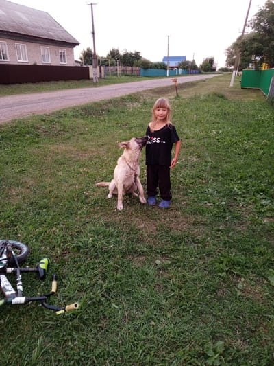In Buraly, Russia, a young girl with blonde hair, wearing a black t-shirt and black pants, stands on a grassy area next to a light brown dog. The dog is sitting and looking up at the girl, with its head tilted. A bicycle lies on the grass to the left of the girl and dog. In the background, a road runs past several houses and fences, with trees lining the roadside. The sky is overcast.
