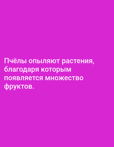 The image shows a pink background with white Russian text. The text reads: "Пчёлы опыляют растения, благодаря которым появляется множество фруктов." This translates to: "Bees pollinate plants, thanks to which a lot of fruits appear." There are no people, objects, actions, interactions, or environmental details present in the image. The location in the city of Yazy, Turkmenistan is not depicted or suggested in any way by the image content.