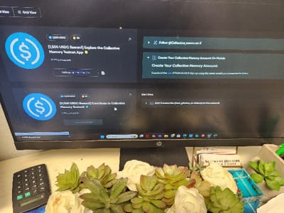 A computer monitor displays a website for the "Collective Memory Testnet App" in Winter Park, Florida. The screen shows a blue circle with a dollar sign inside. It reads, "1,500 USDC Reward] Explore the Collective Memory Testnet App." Another section on the screen reads, "Create Your Collective Memory Account On Mobile" and "Create Your Collective Memory Account." In the lower right corner of the screen, a blue button reads "Get 1 Entry." Beneath the monitor, a calculator and a potted succulent sit on a wooden desk.  A green pen is also visible. The succulent is a cluster of three plants with white flowers and a green base.  A small blue glass paperweight is also visible in the lower right corner of the image.  The background is a wall with a light-colored paint finish.