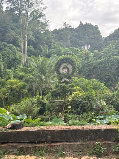 The image depicts a lush, green hillside with a statue of Buddha nestled among the foliage. The Buddha statue is partially overgrown with vines, with its hands clasped in a prayer-like gesture. Behind the statue, the hillside is densely covered in trees and vegetation, with a few tiered structures visible on the summit. In the foreground, a stone pathway leads to a pond with large lotus leaves and a single pink lotus flower. A dark-colored cat is lying down on the pathway, facing away from the camera. The sky is overcast. The scene is located in Ban Sadet, Thailand.