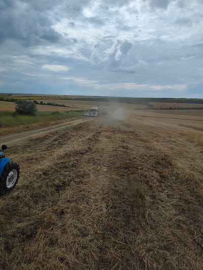 In the rural outskirts of Cișmichioi, Moldova, a harvesting operation is underway in a vast, golden field under a dramatic, cloud-filled sky. The foreground is dominated by the rough texture of cut stalks and dry earth, with the rear wheel of a blue tractor visible on the left, suggesting the perspective of a mobile camera. In the middle ground, a dirt road runs diagonally across the landscape, leading to a white truck and a white car. Further back, a combine harvester is actively working, kicking up a visible cloud of dust as it moves through the golden crop. The background reveals rolling hills, segmented into fields of varying shades of gold and green, extending to the horizon under a dynamic sky with both light and dark clouds.