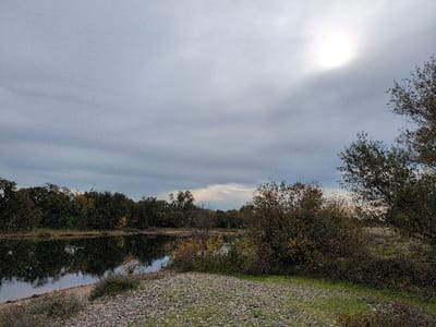 A landscape features a tranquil body of water reflecting the surrounding trees under a cloudy sky. The sun shines faintly through the cloud cover, creating a soft, diffused light. A pebbled and grassy bank leads down to the water's edge. Trees line the opposite bank, their foliage adding depth to the scene. The overall impression is one of quiet stillness and natural beauty.