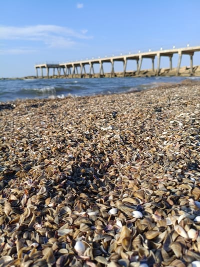 The image shows a beach covered in seashells, with the sea and a pier in the background. The pier is made of concrete pillars and extends into the water. The sky is blue with some clouds. The scene appears to be located in the Sabunchu Raion of Azerbaijan.